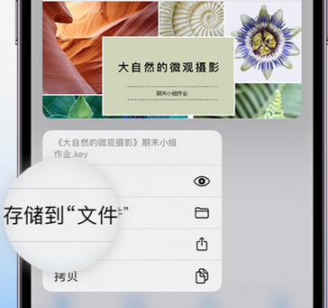 河口apple维修中心分享iPhone文件应用中存储和找到下载文件