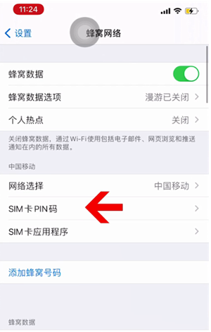 河口苹果14维修网分享如何给iPhone14的SIM卡设置密码 