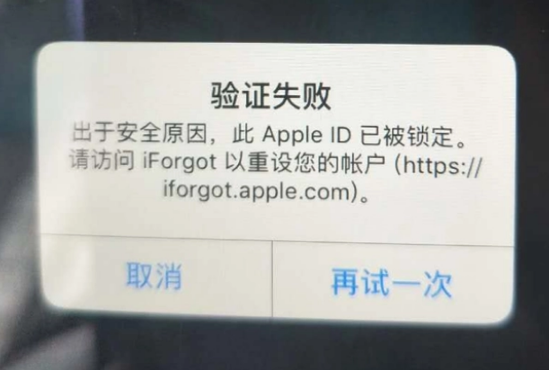 河口iPhone维修分享iPhone上正常登录或使用AppleID怎么办 