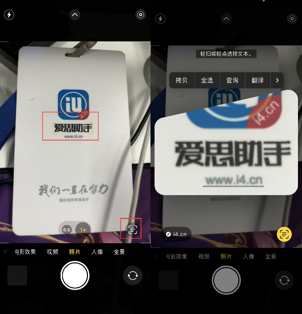河口苹果手机维修分享升级iOS 16后如何通过相机翻译文本 