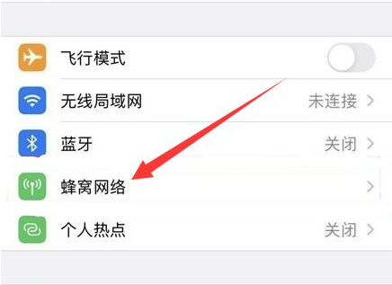 河口苹果手机维修分享iPhone手机4G网络怎么设置成5G网络 