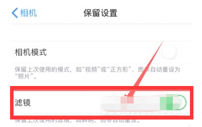 河口苹果13维修分享iPhone13拍照有绿点是怎么回事 