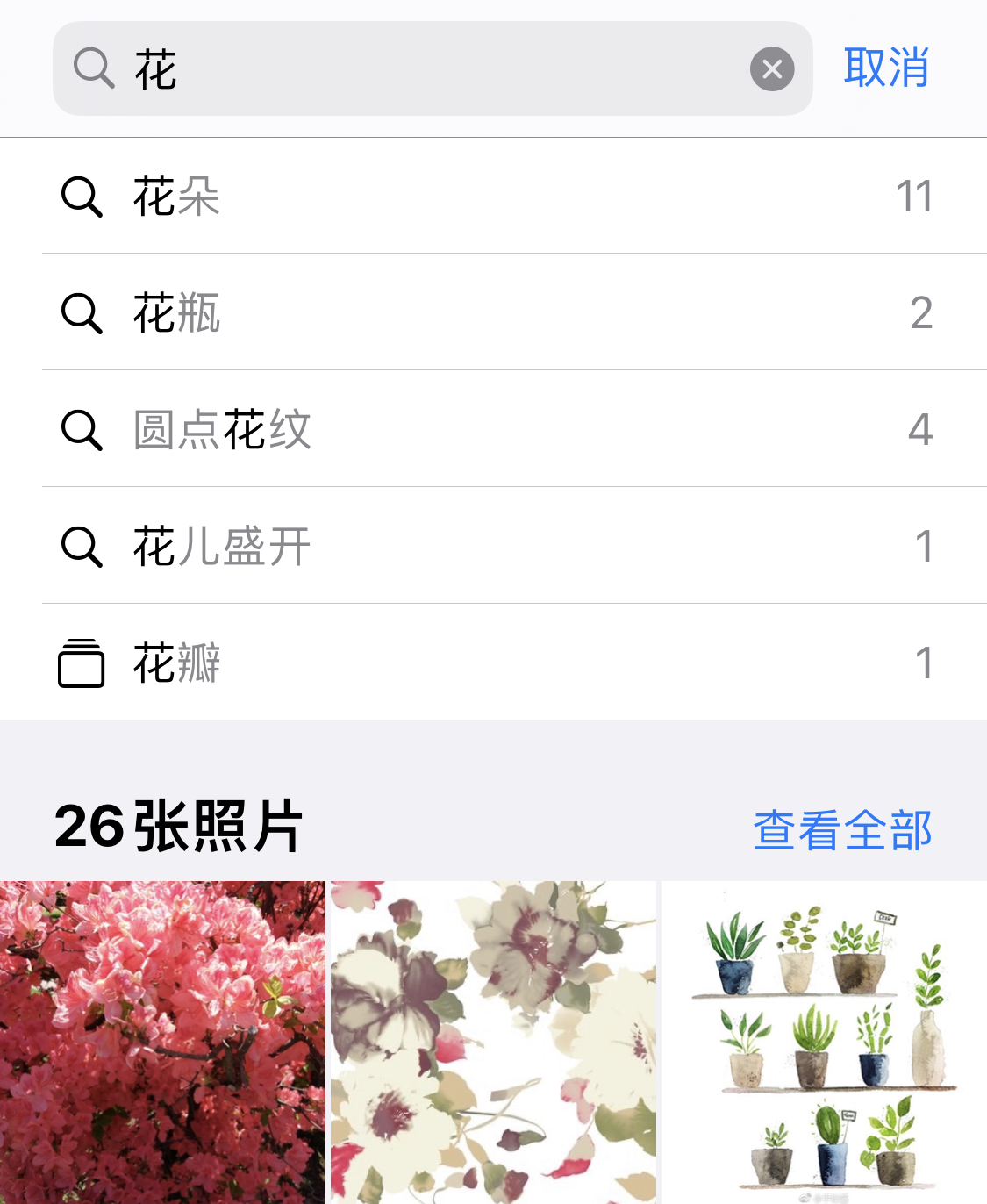 河口苹果手机维修分享iPhone 小技巧 