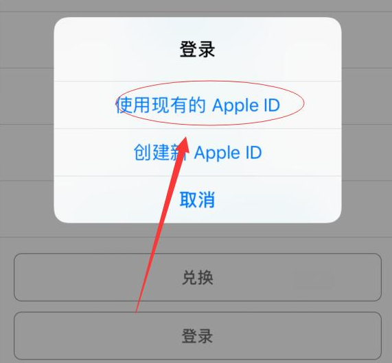 河口苹果手机维修分享两台iPhone设备可以同时登录一个Apple ID吗 